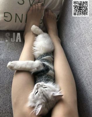 妈妈女儿_HD免费观看超清